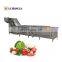 vegetable cleaning machine tomato  radish washing machine