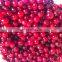 Red cranberry IQF Frozen Cranberry