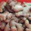 2020 Hot Sale Fresh Vegetable Fresh Ginger