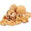 Wholesale low moq bulk  cheap walnuts seeds kilo price raw nuez walnut from tree