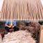Factory  Foundry Artificial Synthetic Palm thatch Roof plastic straw thatch roof toits  hut nipa thatch