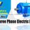 YE3 /YE2 european standard electric motor
