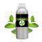 Natural essential oil manufacturer Peppermint oil for pharma and cosmetic raw material