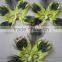 Wholesale Products China Peacock Feather Party Mask