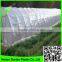 Supply 2016 100% virgin LDPE Clear Overwintering Film ,3mil with better tear strength, stronger folds