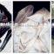 190T pa Lining Fabric for Handbag