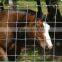 galvanized field fence/sheep fence/grassland fence