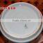 Longquan celadon Hand - bottle of Oujiang color common carp gifts