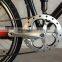 Lionhero 26"damping eletric mountain bike EEC electric bicycle