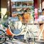 Haoling MINI, cheap electric bike for sale, cheap electric pocket bike