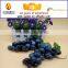 Artificial emulation soft rubber grapes fruit model