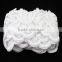 Newest Fashion White Fancy Lace Trim for Bridal Veils Hot Sale S10734