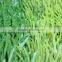 Hot Sale Natural Looking Fake Turf