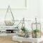 Multi-shaped Available Personalized Micro Geometry Landscape Glass Vase