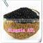 Price of density of granular coconut shell activated carbon