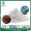 OEM AND ODM 100% Natural Edible Linseed Extract Powder/ Flaxseed oil Powder