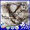 New Season Seafood Frozen Black Pomfret W/R Price
