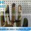 Cheap special discount transparent nitrile coated gloves
