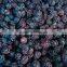 Bulk Frozen A Grade Blackberry Fruit