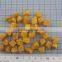 Freeze Dried Apricot Dice