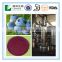 Blueberry extract powder Vaccinium uliginosum L.with Anthocyanidins 5-25% ,Extract Ratio 5:1 and 10:1blueberry fruit Powder