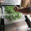 Conveyor Belt Dryer Machine/Mint Leaves Drying And Sterilization Machine