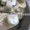 MKL450-75 wood pellet mill wearing parts----- a set of roller