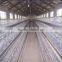 type H layer chicken cage hebei factory