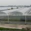 Professional Multi-Span Pvc Covered Greenhouse For Agricultural Planting
