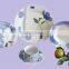 20pcs porcelain plate with printing porcelain plate set