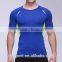Wholesale gym clothing sports t shirt, top selling high quality fitness wear