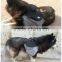 Lovoyager Travel Pet Dog Backpack Harness for Large Dog