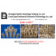 Industrial ceramic Cordierite Mullite Extruded Tube refractory kiln furniture temperature 1350 degree