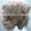 yak wool manufacturer, dehaired Tibet yak wool brown 19.0mic 26mm