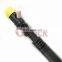 Common Rail Delphi Injector EJBR04501D A6640170121 For Ssangyong Kyron