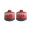 China 230ml volume LPG gas cylinder and aerosol container