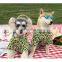 Dog Clothes Leopard Print T-shirt Summer Thin Breathable Pet Shirt Corgi Teddy Schnauzer Pomeranian Clothing