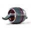 Gym Equipment Carver Pro AB Wheel Set