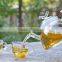 900ml Glass Teapot with Infuser