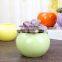 European style simple white succulent planting pot creative candy color ceramic small flower pot