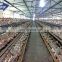 China low cost steel poultry farming egg chicken house design shed for layers