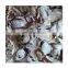 Dried Sliced Onion/Dried Shallots Sliced/Wholesale Dried Shallots Sliced from Vietnam