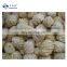 Sinocharm Frozen Fruits Premium Variety Fresh And Healthy Frozen Pineapple Fruit IQF Frozen Pineapple