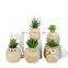 Home Decor Artificial Plant Faux Artificial Plastic Gree Mini Succulent Plants With Owl Animal Pot