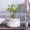 Home Decor Soft Natural White and Grey Cotton Rope Basket Multipurpose Cotton Baskets for Plants, Laundry, Storage, Cosmetics