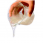 Hydroxyethyl cellulose