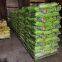 50lb plastic color printing bopp laminated bag woven pp for rice flour food corn