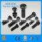 High Tensile Fastener Bolts