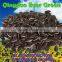 new crop chinese Sunflower seeds 5009