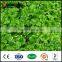 SUNWING good quality artificial boxwood mat hedge panels